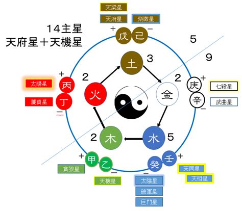 星的五行|星字的五行属什么